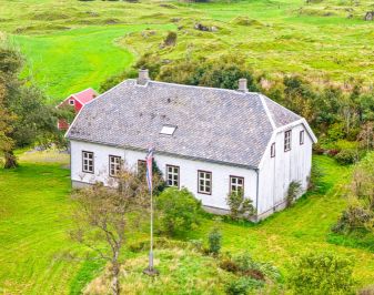 hus med grønn bakgrunn