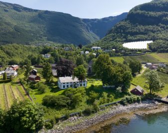 gammel gård med frukttrær i bakgrunn