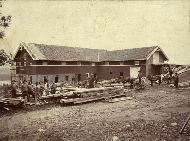 Bilde av fjøsbygging i 1902 Modum prestegård