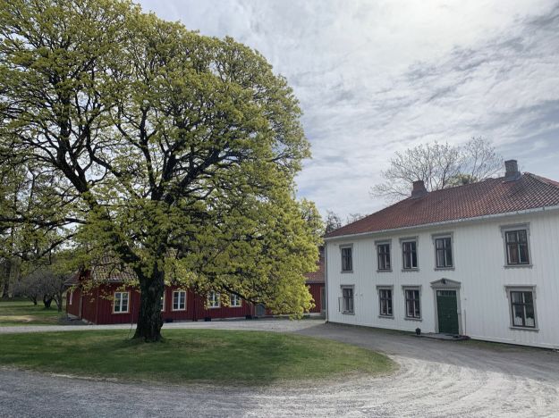 Solum pg mai 2022 OVF