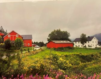 Hele gårdstunet sett på avstand