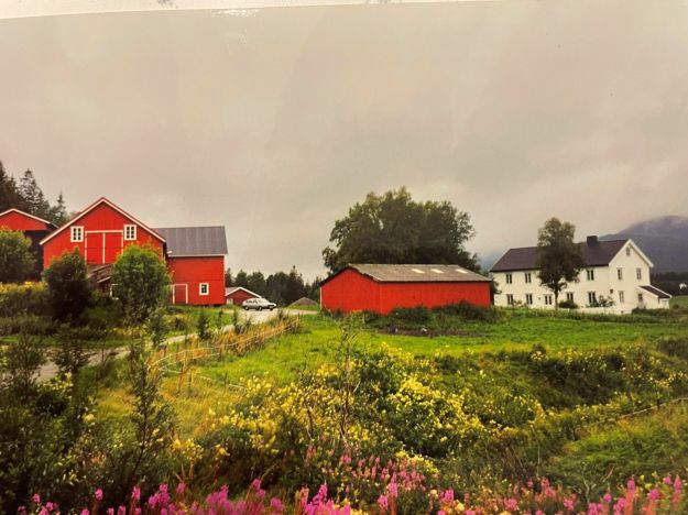 Hele gårdstunet sett på avstand