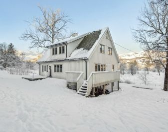 trehus i vinterlandskap