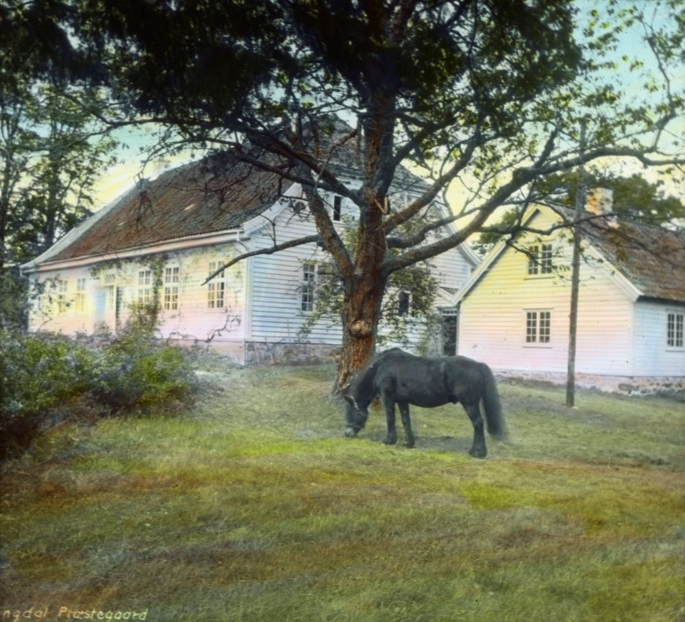 Lyngdal prestegård wilse 1929