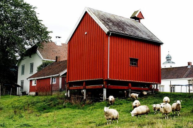 Rødt stabbur