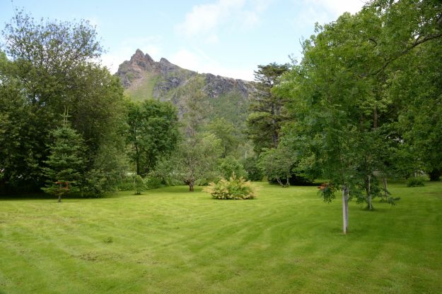 Grønn plen med fjell i bakgrunn