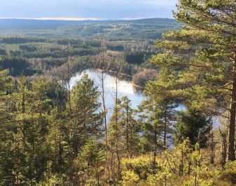 Skoglandskap med blå innsjø. Foto