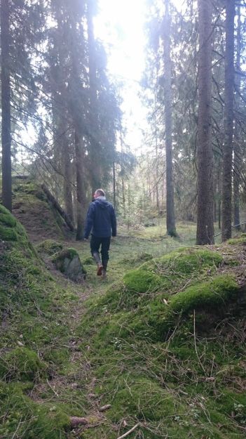 Mann går tur i grønn skog. Foto