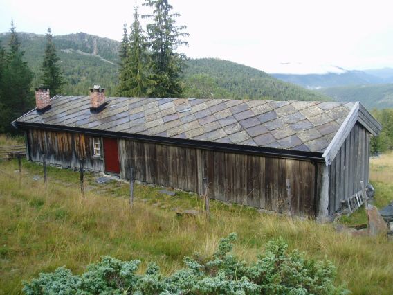 Brunt trebygg omgitt av grønn mark og skog. Foto