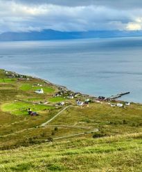 gresshelling i landskapet med fjord og fjell i bakgrunn