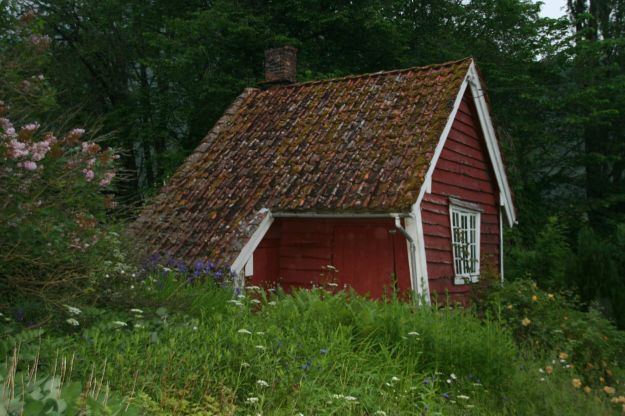 rødt uthus, takstein og høyt gras