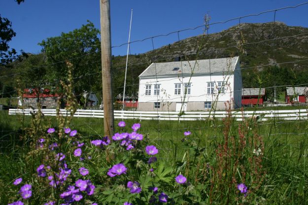 hvitt trehus gress , blomster