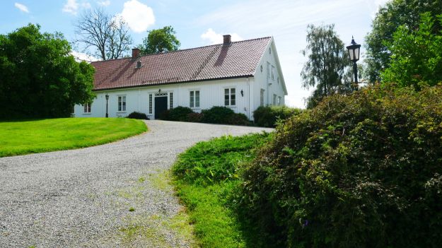 vei, grønt gress, trehus