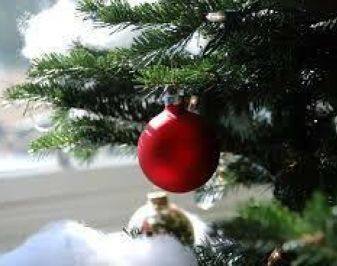 Utsnitt av juletre med kule