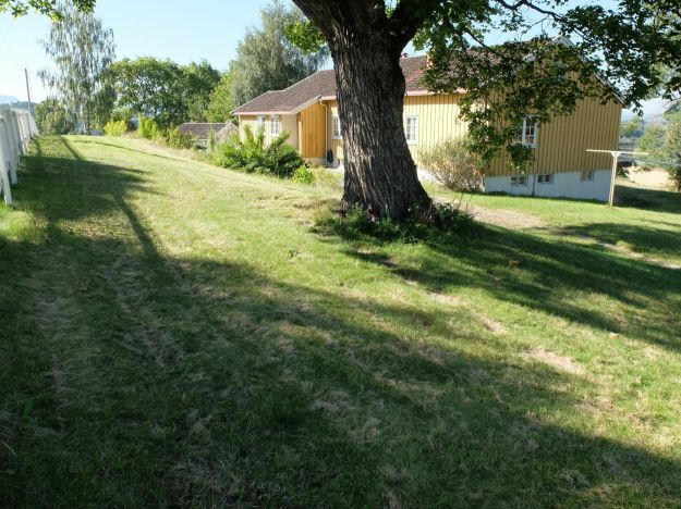 Nyere gulmalt bolig med tuntre og hage i forgrunnen