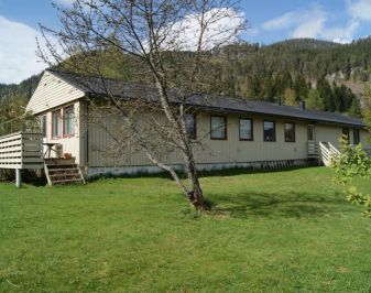 Nyere enebolig i tre med gressplen i forkant