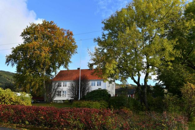 en kvit bygning mellom store trær