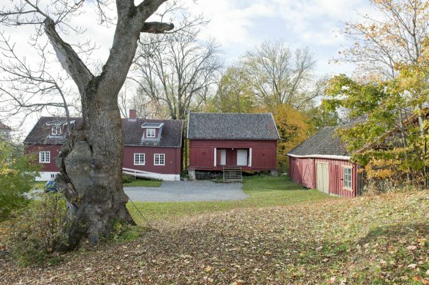 Røde trehus omgitt av grønn mark og gule høstblader på bakken. Foto